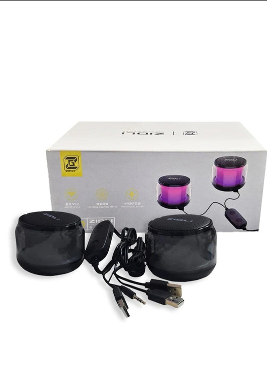 ZIDLI Speaker